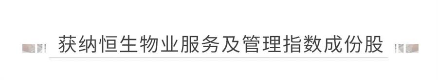 鸿运国际 - 鸿运国际商企效劳｜资源市场及客户双认可