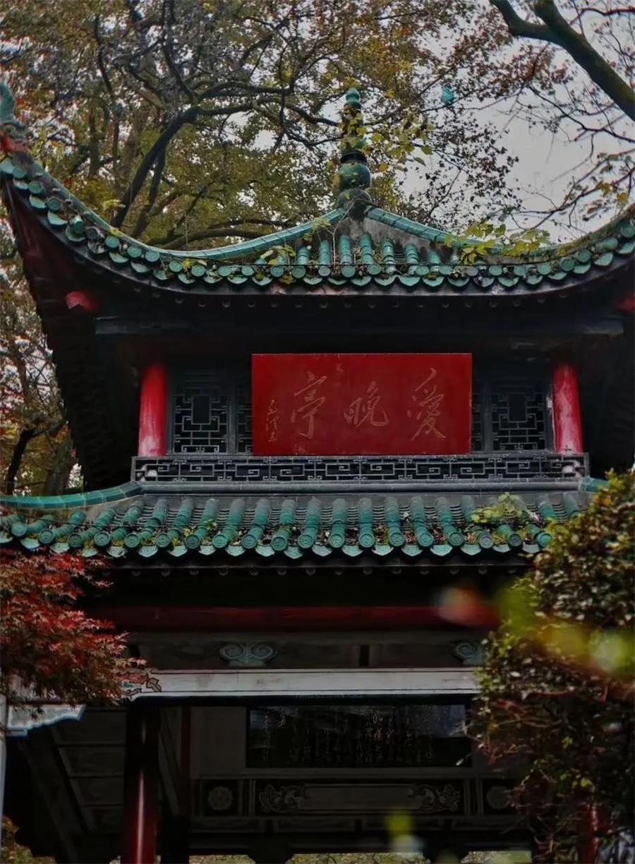 鸿运国际 - 真知卓鉴 | 这些“玩水”天堂，，，，不允许你没听过
