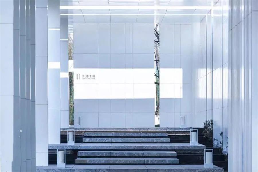 鸿运国际 - 真知卓鉴|以美之名，，，解读光影、线条、肌理