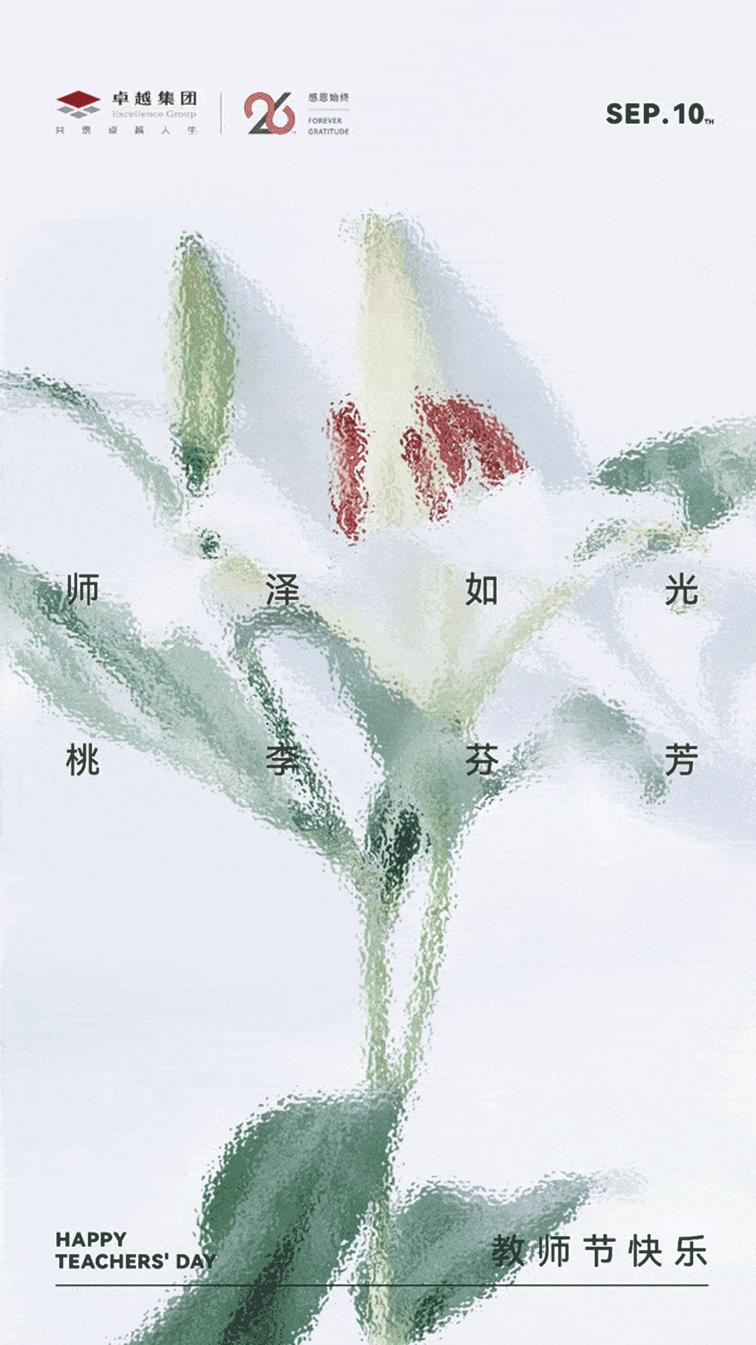 11.gif
