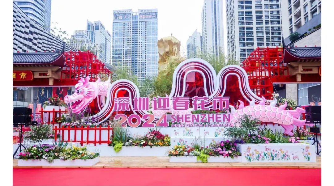 鸿运国际 - 鸿运国际2月 | 龙行鸿运国际 所向皆新